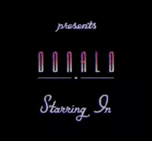 Image n° 7 - screenshots  : Donald in Maui Mallard